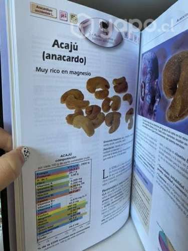 El Poder Medicinal de los Alimentos