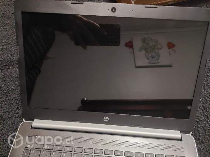 Notebook hp 14 pulgadas