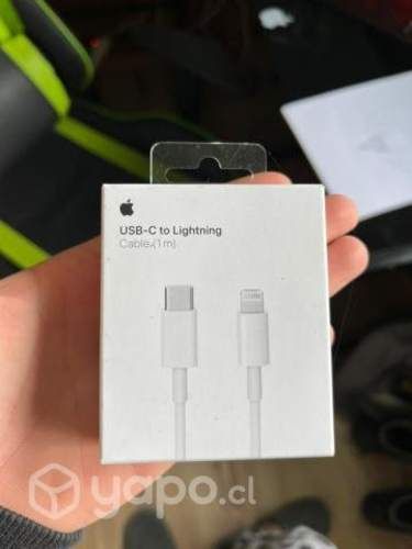 Cargador tipo C Iphone original