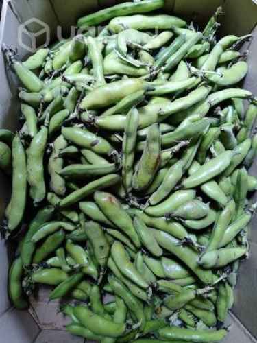 Papas regionales, habas