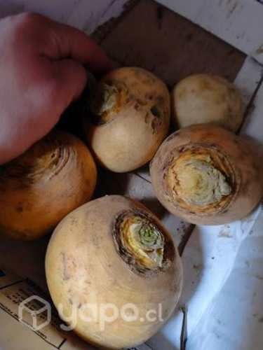 Papas regionales, habas