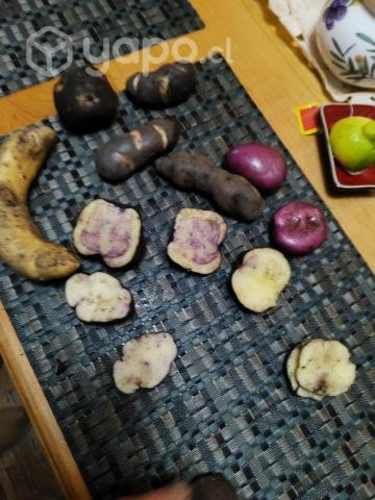 Papas regionales, habas