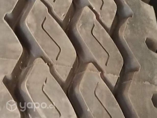 Neumáticos camion nuevos