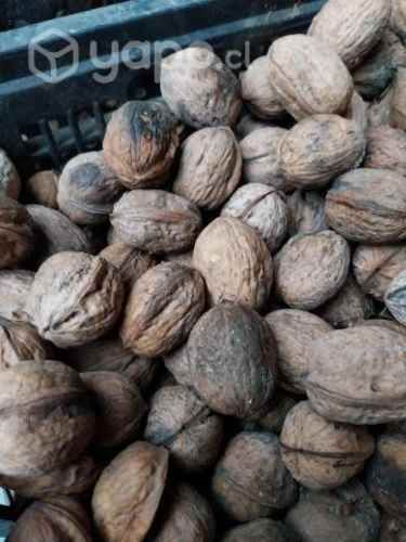 Nueces por nayor
