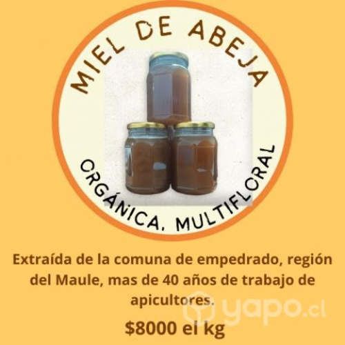 Miel de abeja 100% Natural (Multiflora)