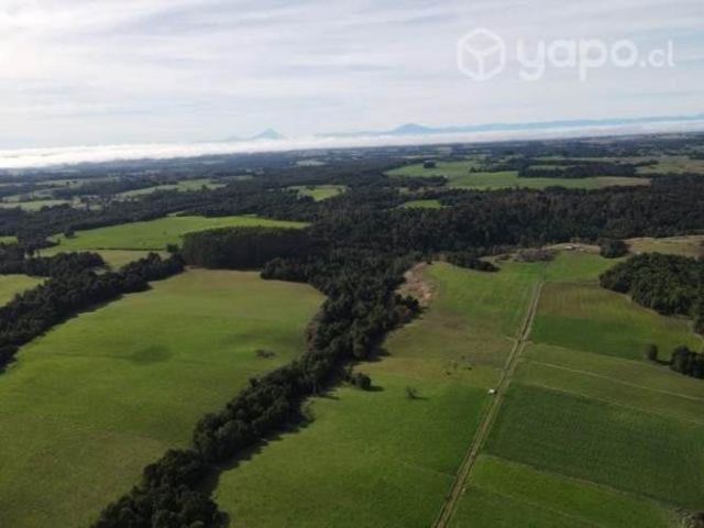 Campo de 8 hectareas