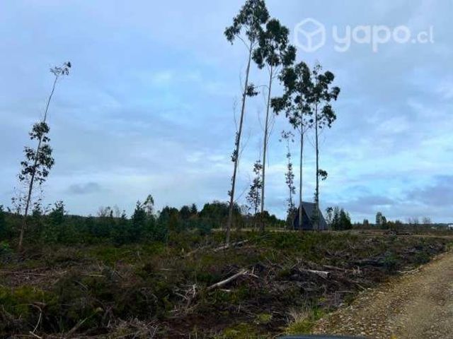 Parcela , Ancud sector Huicha. Chiloe