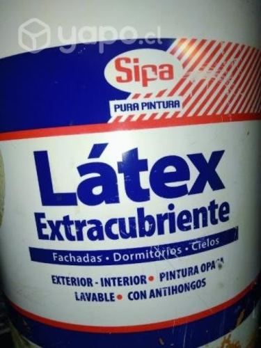 Tineta látex blanca sipa