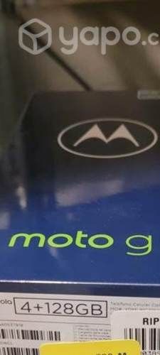 Celular Motorola G31