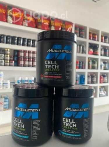 Creatina Muscleth 120 servicios 240 gramos