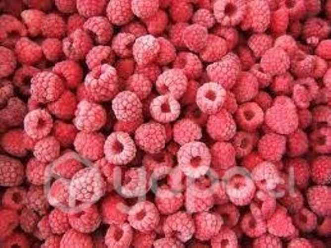 Frambuesa congelada IQF