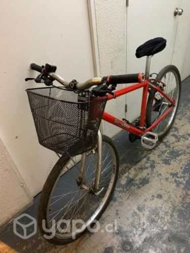 Bicicleta Terra Bike