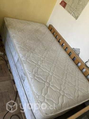 Cama Rosen 1,5 plazas