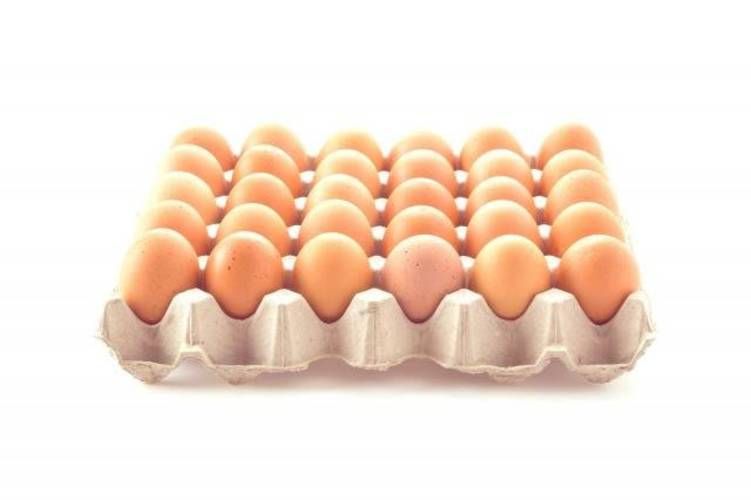 Huevos de gallinas libres kurram bandejas de 30 un