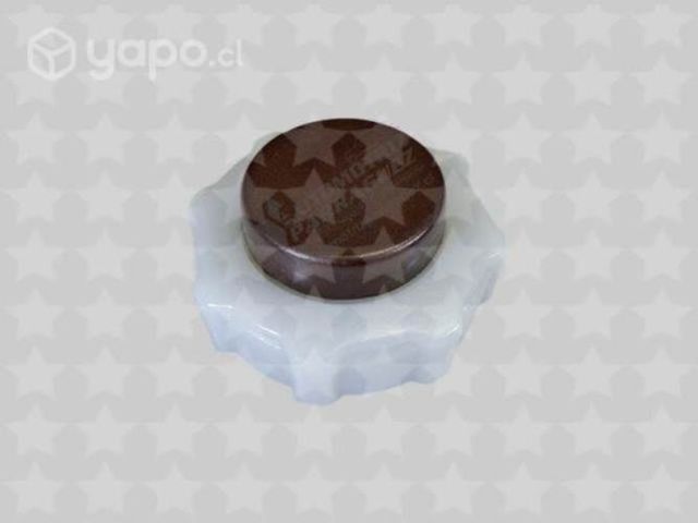 Tapa deposito agua Clio, Megane, Scenic, otros