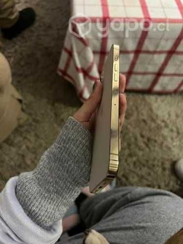 IPhone 12 Pro Max 256GB excelente estado