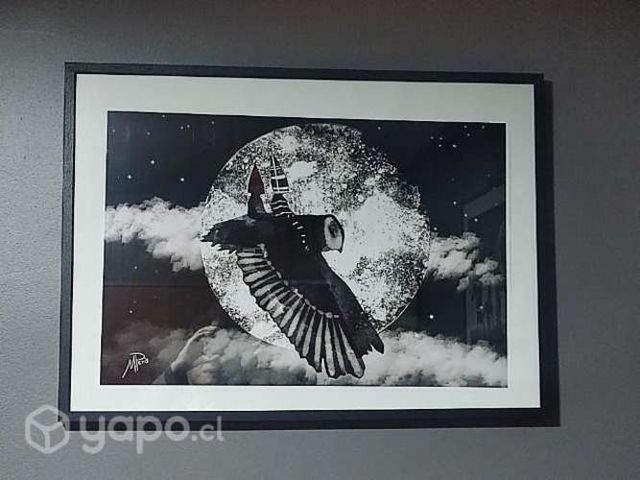 Bellísimos cuadros, grandes (52x72 cms)