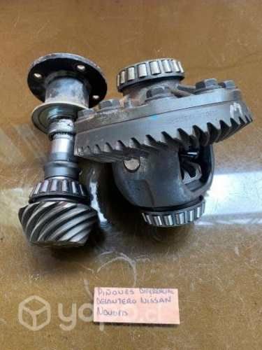 Pinones diferencial delant 4813DH Nissan Navara