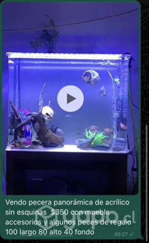 Acuario 320 litros panorámico acrílico