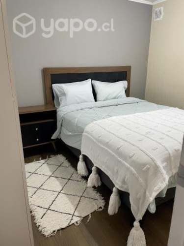 Departamento valdivia