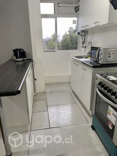 Departamento valdivia