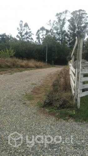 Pension Pieza o Diario