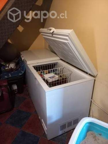 Conservadora y refrigerador maigas