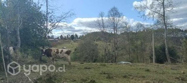 Parcela de 1/2 hectaria a 20 minutos de la unión