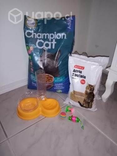 Vendo pack para gato