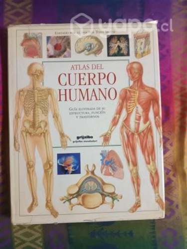 Atlas del Cuerpo Humano: Guía ilustrada
