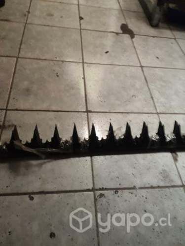 Puntas de tiburón nuevas