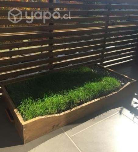 Baño ecológico para mascotas