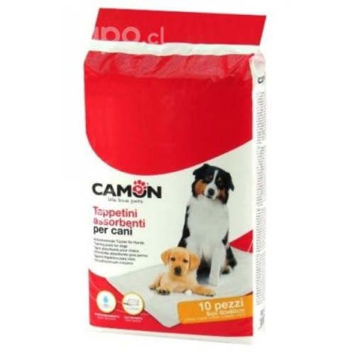 Alfombrilla absorbente CAMON 60x60 cm