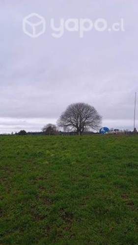 Parcelas Fundo Centinela La Unión