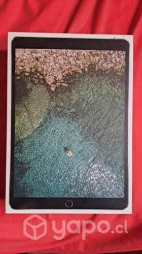 Ipad pro + Apple pencil