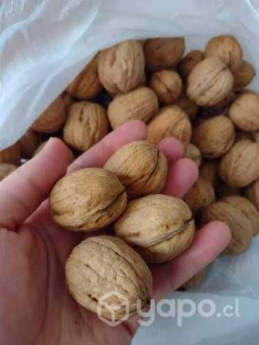 Nueces y Pasas