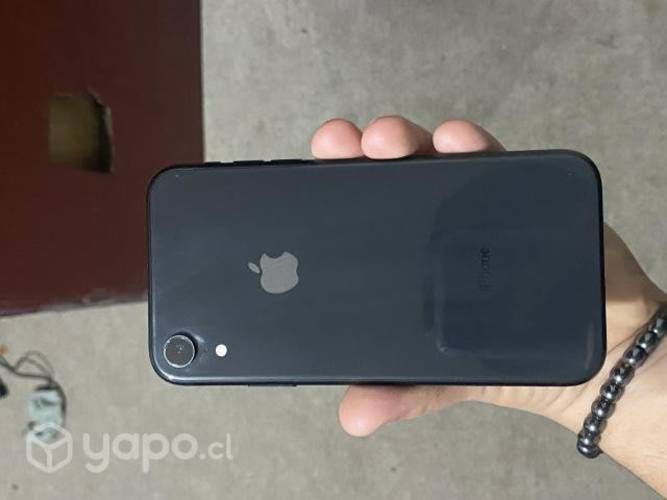 Celular iphone xr (10)