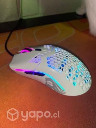 Glorious Model o- minus