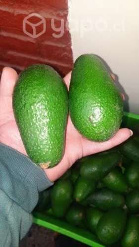 Palta hass
