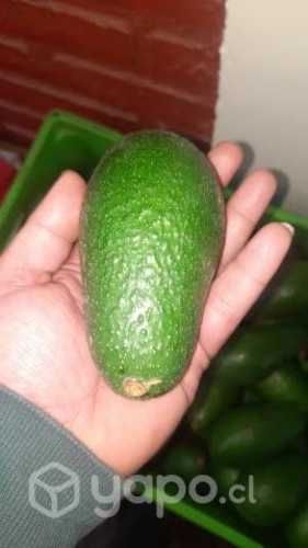 Palta hass