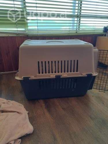 Caja Transporte de mascotas_Canil