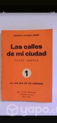 Libro Las calles de mi ciudad Punta Arenas
