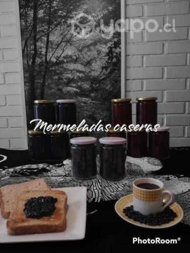 Mermeladas gourmet de mora y frutilla