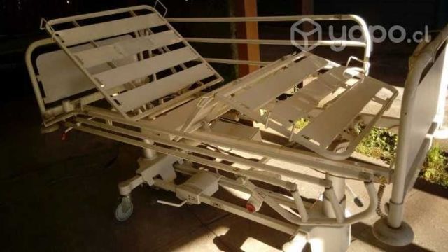 Catre clinico en arriendo mensual