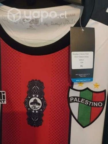 Camiseta palestino actual