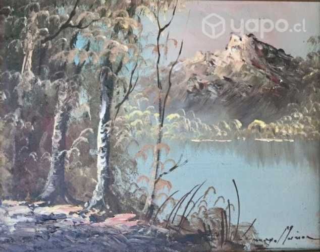 CUADROS ORIGINALES , Artista , Leonardo Muñoz