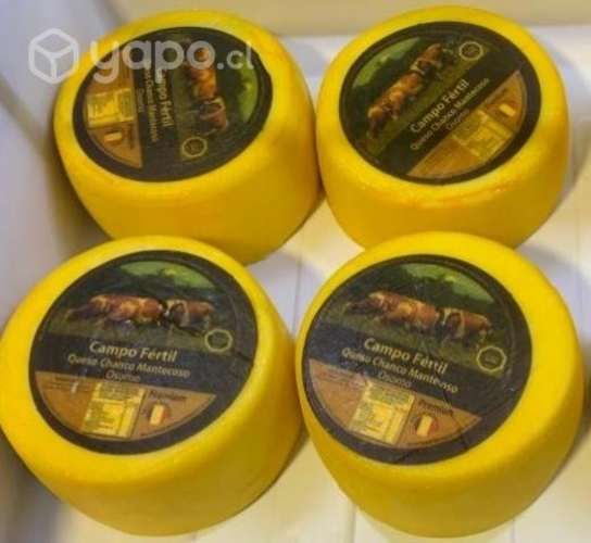 Queso chanco Mantecoso "Campo Fértil"