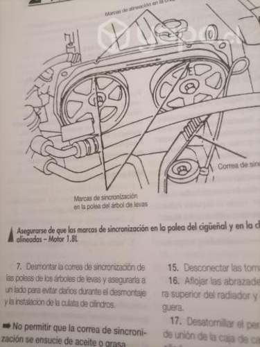 CHILTON más de 1000 paginas