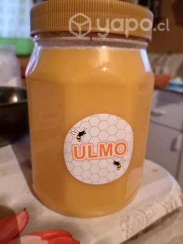 Miel de Ulmo