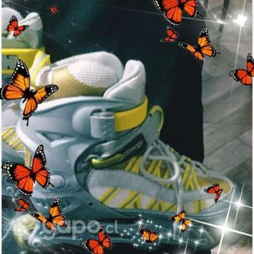 Patines roller y 4 ruedas